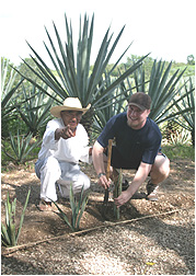 don antonio teaching nick how to plant the baby henequen