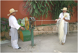 demonstration on how to hand-make rope with sisal fibers